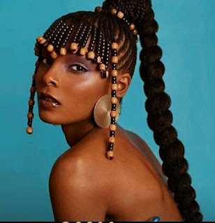 South African Braids Hairstyles 2022