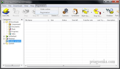 Internet Download Manager 6.07 Build 14 (Terbaru) Full Version + Patch