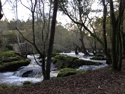 by E.V.Pita / River Anllons - Verdes (Spain, Galicia)