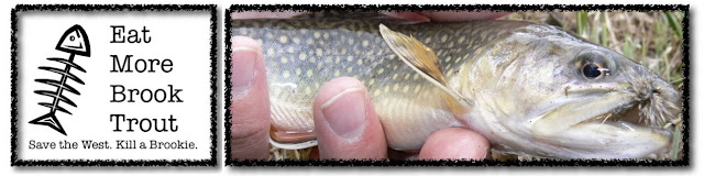 Eat More Brook Trout