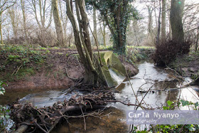 river sherbourne