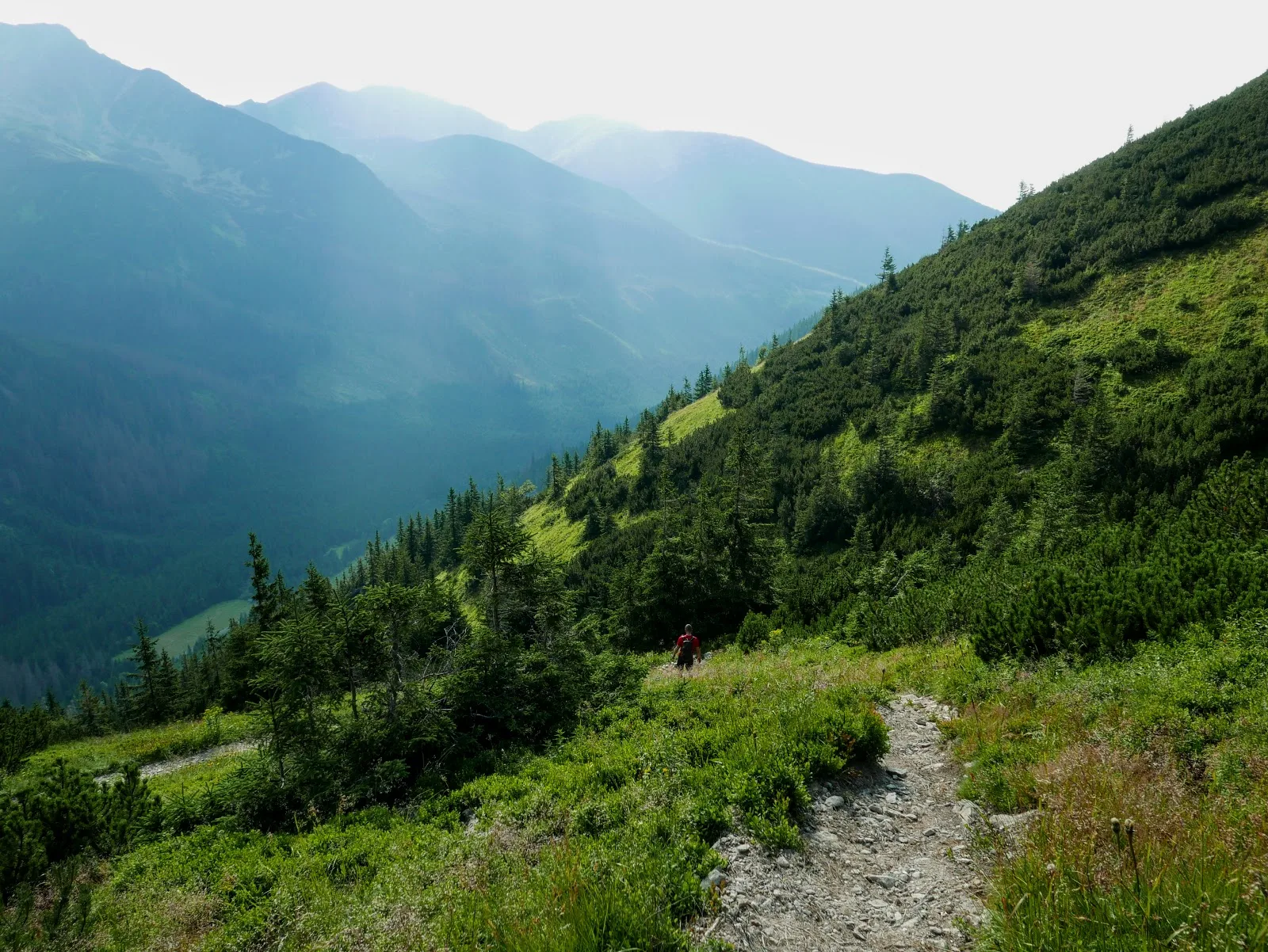 tatry, tatry zachodnie, tatry blog, tatry zachodnie blog, tatry słowacja, tatry słowacja blog, tatry dla początkujących, tatry dla zaawansowanych, szlaki w tatrach dla początkujących, szlaki w tatrach dla średniozaawansowanych, główna grań tatr, tatry zdjęcia blog, tatry latem, tatry latem blog, tatry opis szlaku, Salatín, Baníkov, Hrubá kopa, Plačlivé, Ostrý Roháč, Volovec, Rákoň, Salatyn, Banówka, Rohacz Płaczliwy, Rohacz Ostry, Wołowiec, Rakoń, Rohacka dolina, rohacki kon, orla perć tatr zachodnich, słowacka orla perć