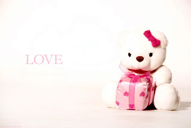 Teddy Bear HD Wallpapers Free Download