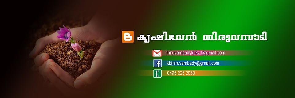 KRISHI BHAVAN THIRUVAMBADY