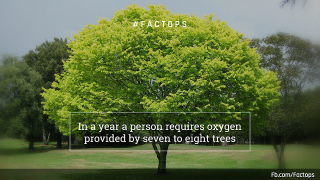 #Factops : "In a year a person requires oxygen provided by seven to eight trees"