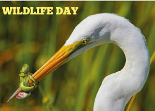 Wildlife Day Photo.jpg