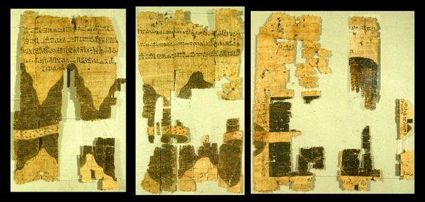 TurinPapyrus2