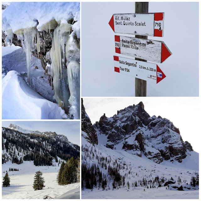 passo rolle ciaspole escursioni invernali