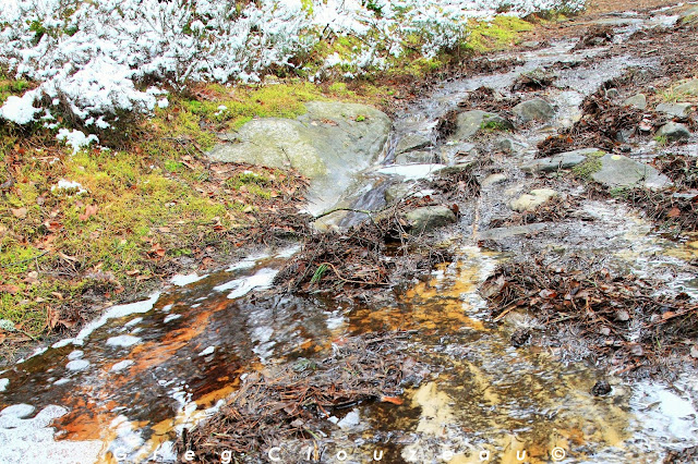 Un ruisseau éphémère dans les Trois Pignons, la conséquence d'une mare de platière qui déborde...