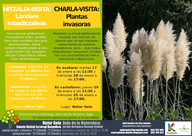 LANDARE INBADITZAILEEN HITZALDIA - CHARLA SOBRE PLANTAS INVASORAS