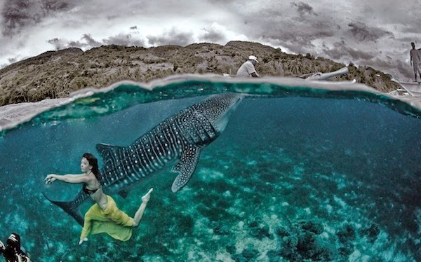 http://designtaxi.com/news/355412/A-Spectacular-Underwater-Fashion-Shoot-Starring-Whale-Sharks/