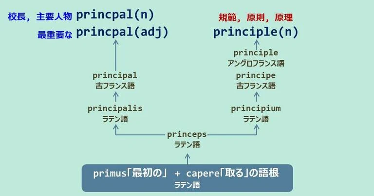 principal, principle, スペルが似ている英単語
