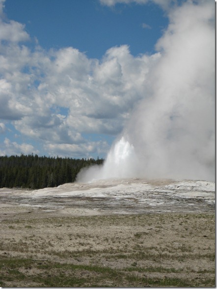Potluck & Yellowstone 032