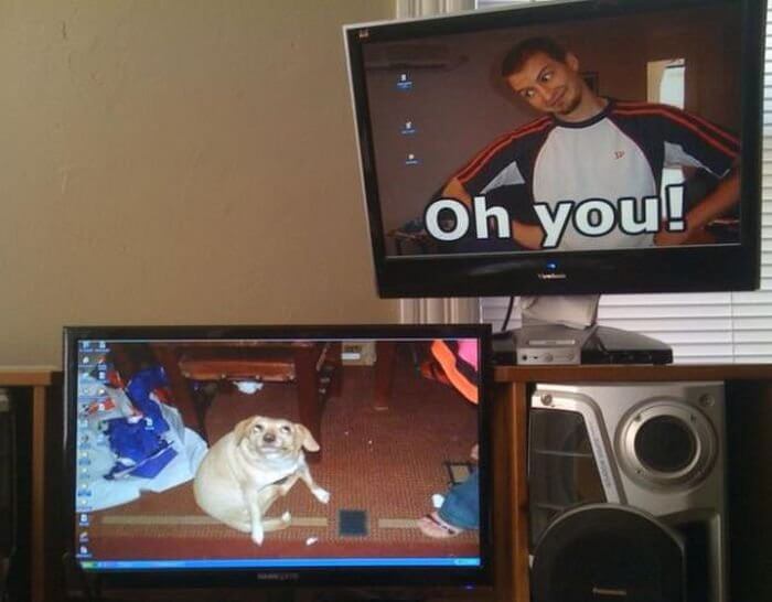 28 Creatively Hilarious Desktop Wallpapers We Wished We Had Thought Of First - Oh, You!