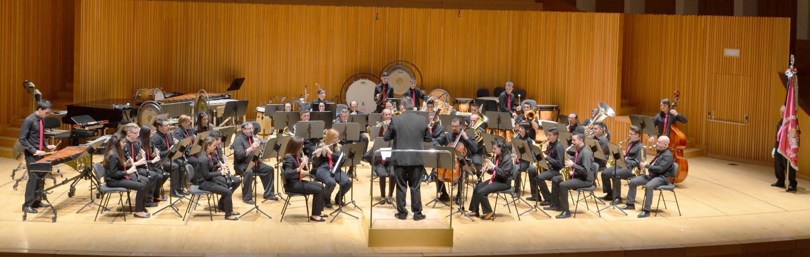Certamen bandes CV 2015