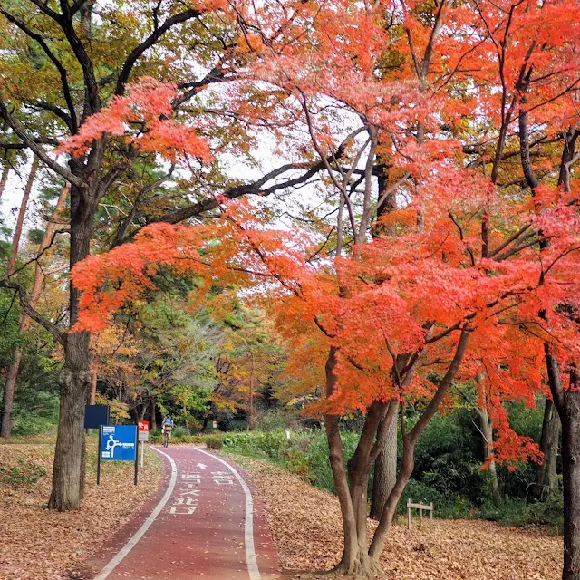 国営武蔵丘陵森林公園