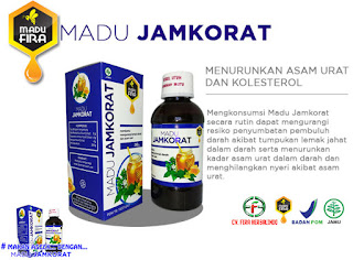 Hp : 085771752970 Jual Madu Kolesterol dan Asam Urat di Jombang, Mojokerto, Sidoarjo