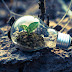  What is green tech, and how does it impact us?