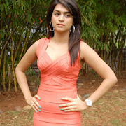 Shradda das Latest wallapers Photos,Hq,stills :Tollyandhra