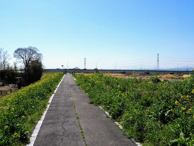 比企自転車道（川島こども動物自然公園自転車道）