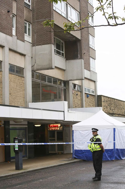 Man's body found on Albion Street after suspected fall from building