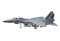 Tamiya 1/72 F-15E STRIKE EAGLE (60783) Color Guide & Paint Conversion Chart 