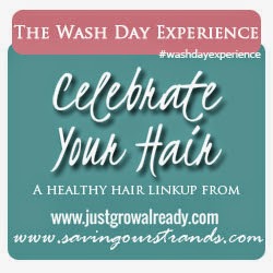 http://www.savingourstrands.com/p/the-wash-day-experience.html