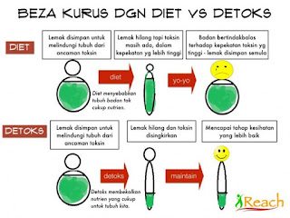 Set Detox Shaklee  Kebaikan Perbezaan Produk dan Meal Plan