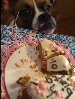 Made With Love: Delicious Dog Birthday Cake Recipe