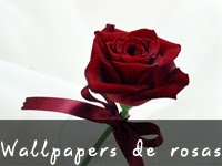 Wallpapers de Rosas