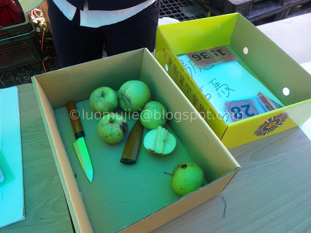 Fushoushan Farm apple picking