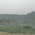 Stop and Stare 001 Mangrove in Selangor, Malaysia