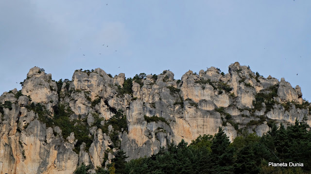 Lozère