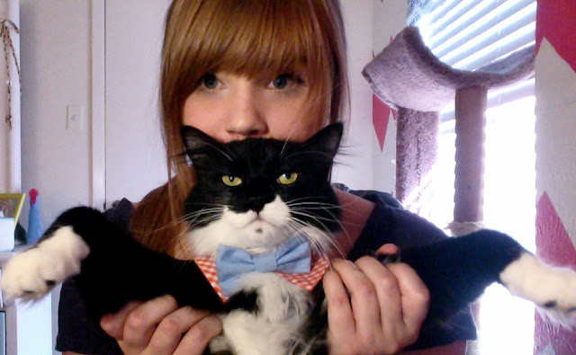 funny cats, cute cat pictures, cat wears bow tie