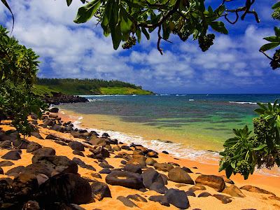 hawaii picture wallpaper. Hawaii Wallpapers 01