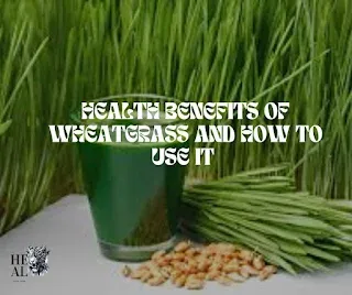 Health benefits of wheatgrass and how to use it