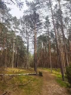 Zwiedzanie Borów Tucholskich