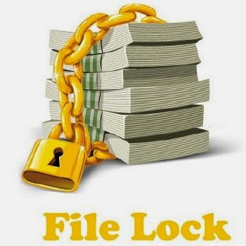 GiliSoft File Lock Pro 8.7.0 