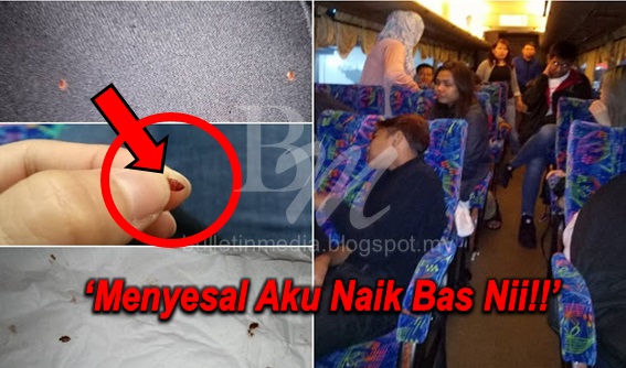 MALANG!! Bas Ekspress Penuh Pepijat Serang 26 Penumpang Sepanjang Perjalanan