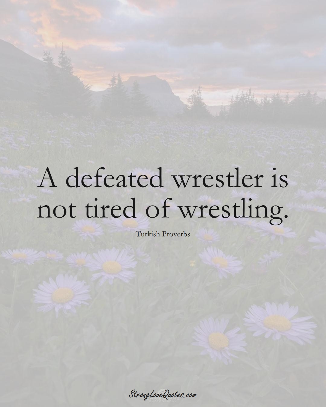 A defeated wrestler is not tired of wrestling. (Turkish Sayings);  #MiddleEasternSayings