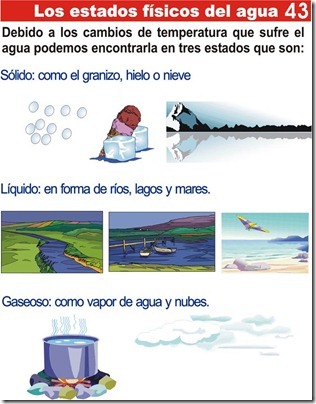 Tarea de los estados físicos del agua para niños de primaria