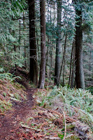 Big Cedar Trail, Deception Pass State Park