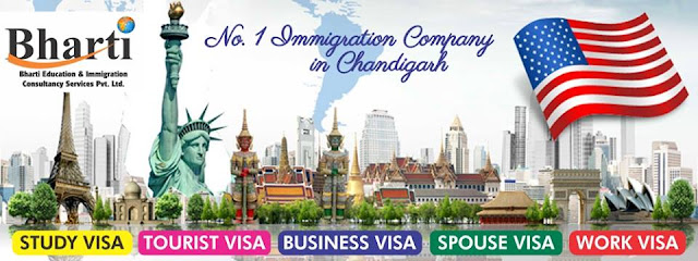 Immigration Consultant