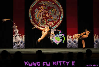 Alien Neko Doing Kung Fu in Taiwan