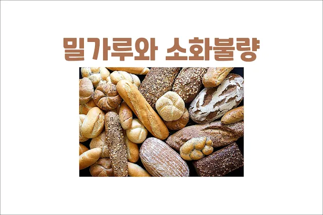 밀가루와-소화불량