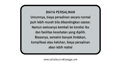 https://www.ceritaiburumahtangga.com/2023/02/perbedaan-melahirkan-normal-dan-caesar.html