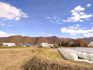 【20201109】秋の風景