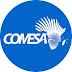 COMESA EMPLOYMENT OPPORTUNITIES FOR TANZANIANS