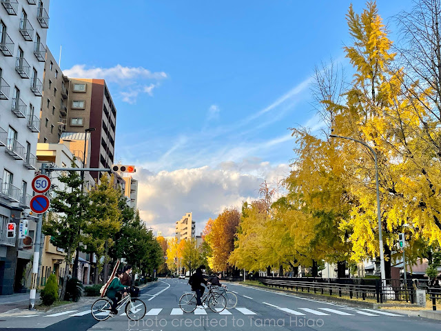 京都銀杏 堀川