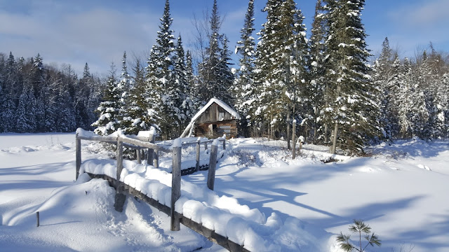 Refuge sur le sentier de la Matawinie